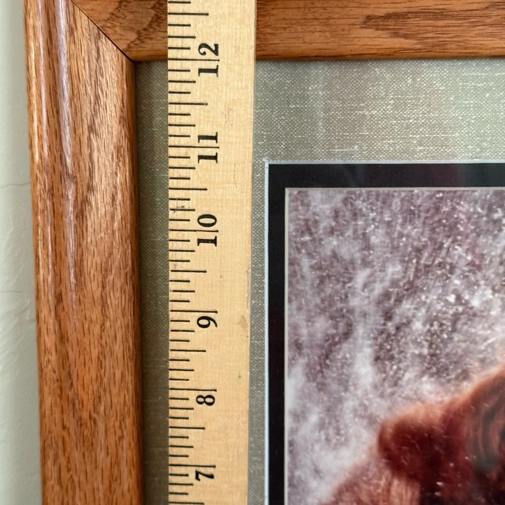 Jasper James Signed Framed Grizzly Bear Framed‎ Nature Photography 16x13”